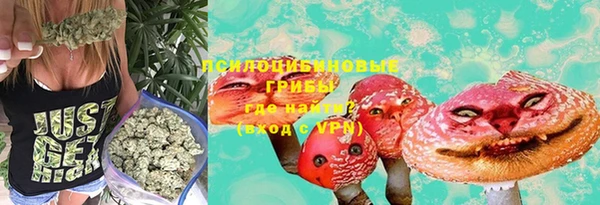 apvp Беломорск