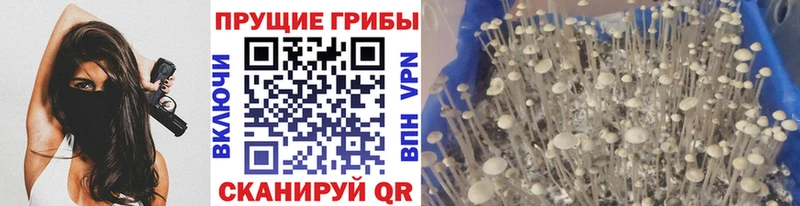 Псилоцибиновые грибы ЛСД  Мостовской 
